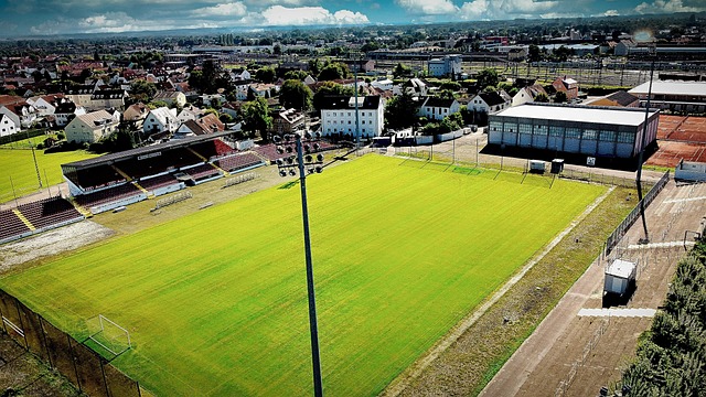 他们有望利 他们有望利