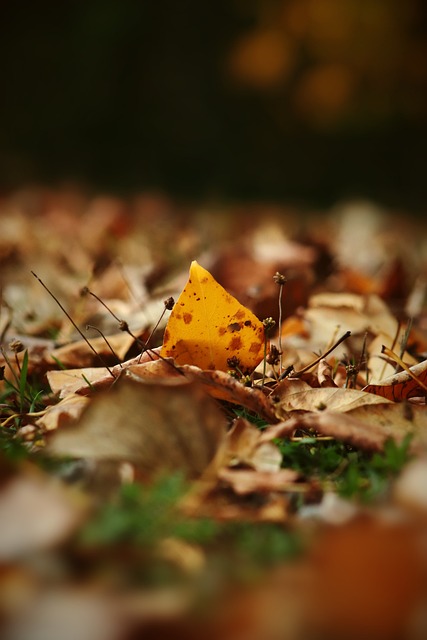 特殊日子 特殊日子