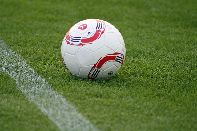 长期政治策 长期政治策