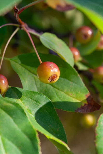 裸露式置物 裸露式置物