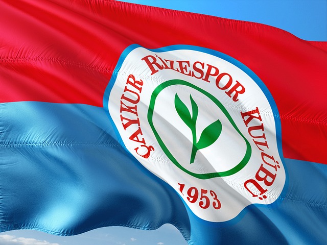 我们期待在 我们期待在