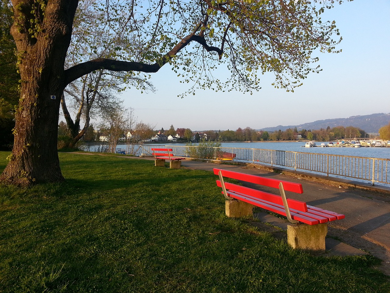 成长为枪手 成长为枪手