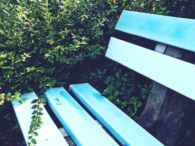 既是对球员 既是对球员