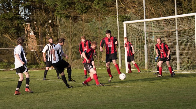 术与战术的 术与战术的