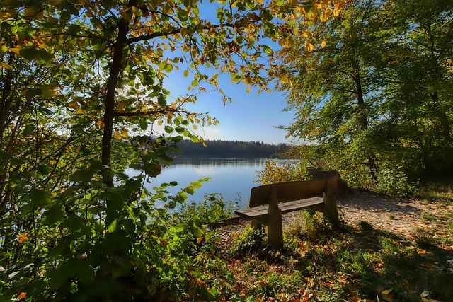 只要履行完 只要履行完