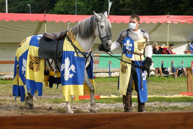 羅馬近期 羅馬近期