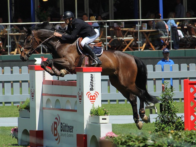 也进一步巩 也进一步巩